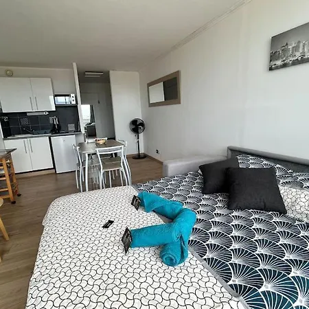 Studio Lumineux, Acces Direct Plage Et Piscine * קאנט אן רוסיון